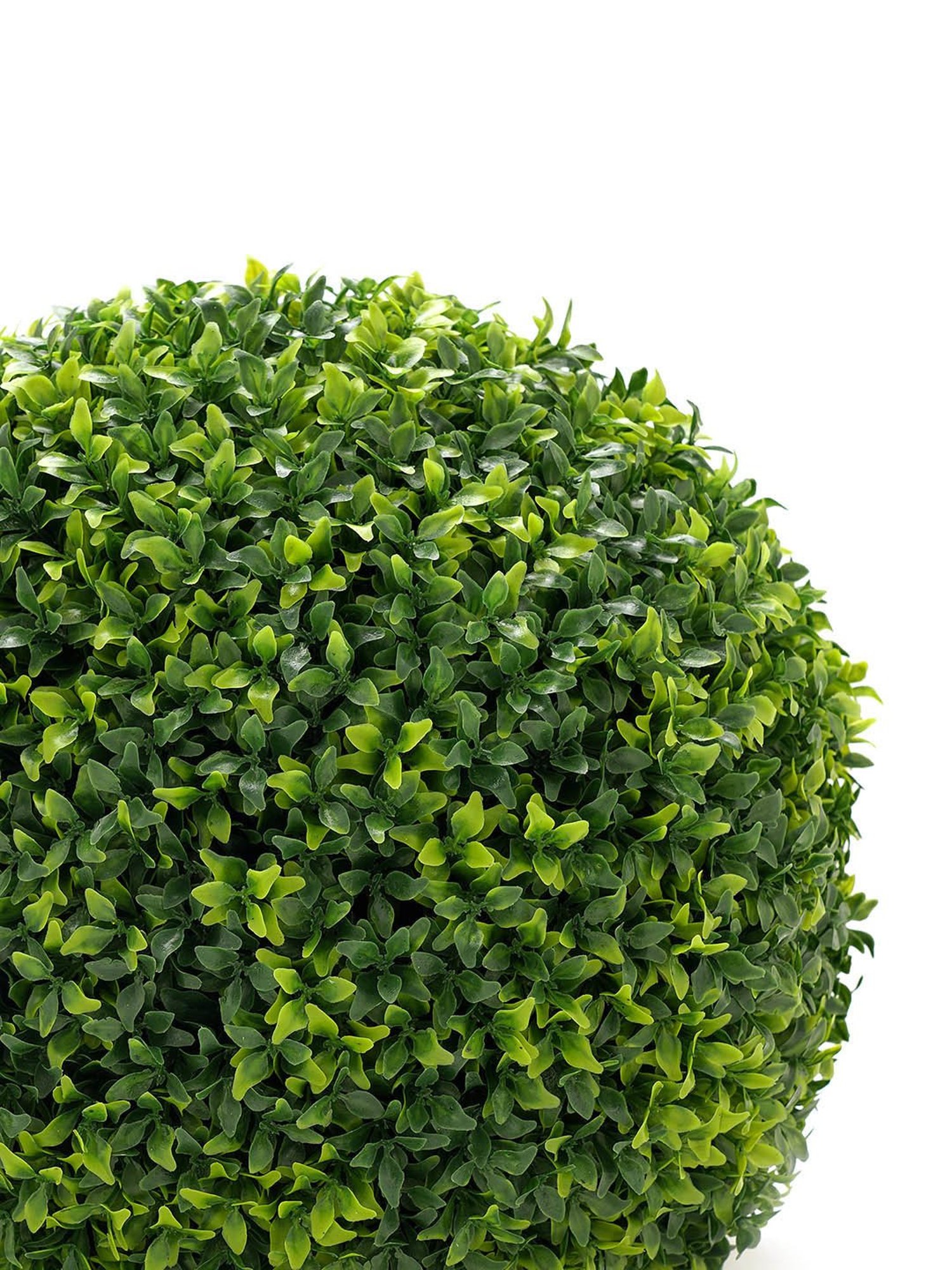 Pure Home and Living Green Plastic Textured Grass Balls