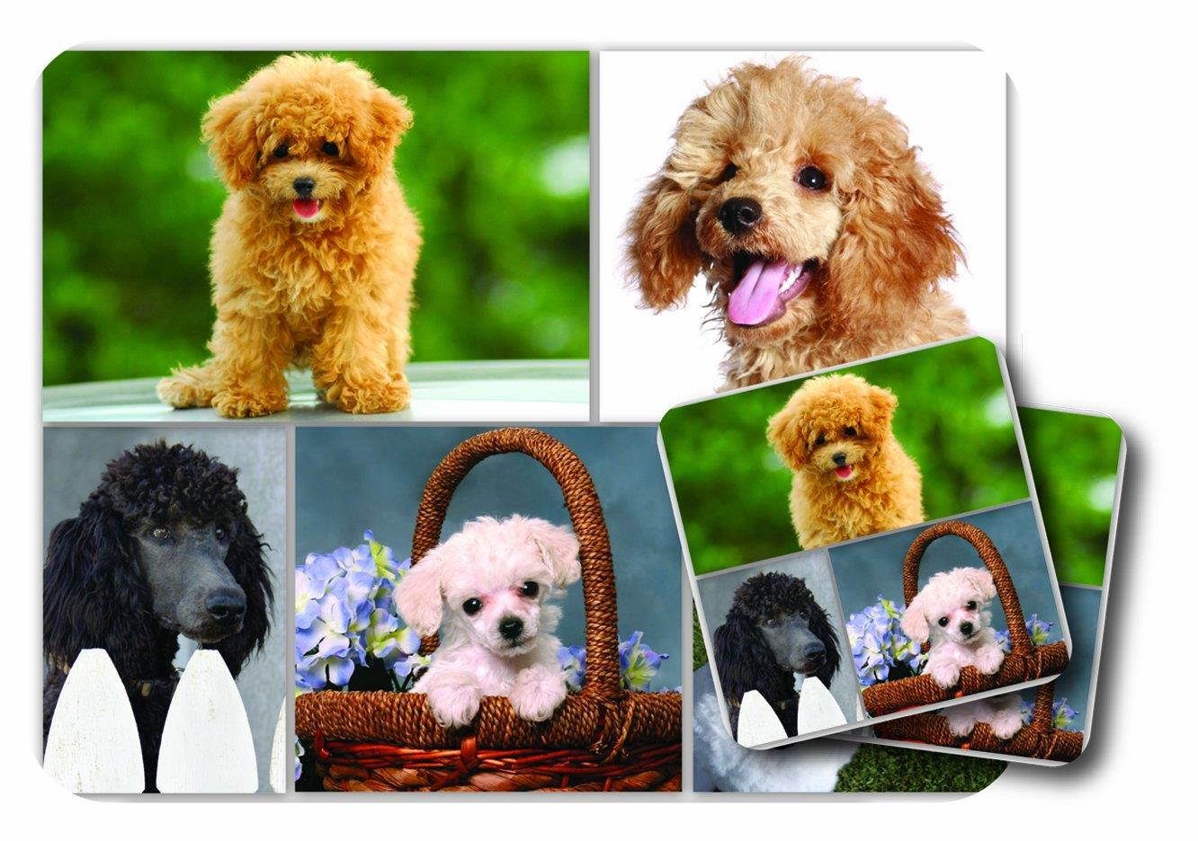 Little Gifts Poodle Mousepad & Coaster Set