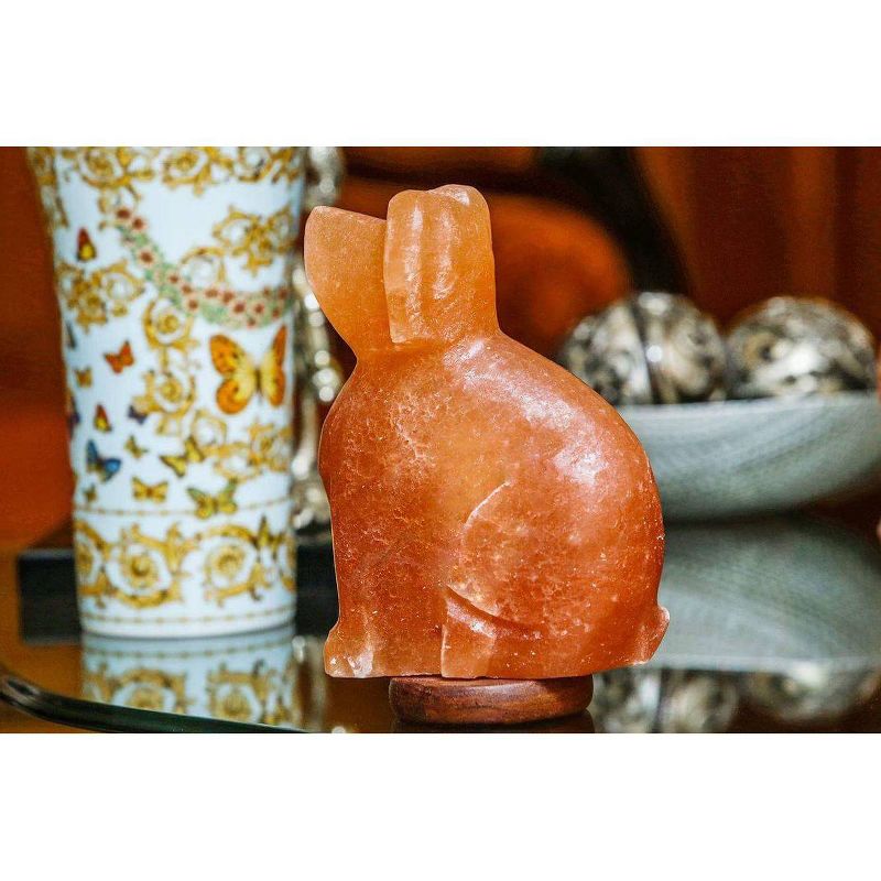 Dog Salt Lamp Pink - Q&A Himalayan Salt