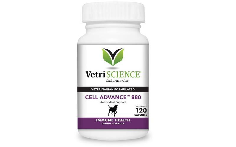Vetriscience Laboratories Cell Advance 880 Immune Health Capsules for Dogs, 120 ct