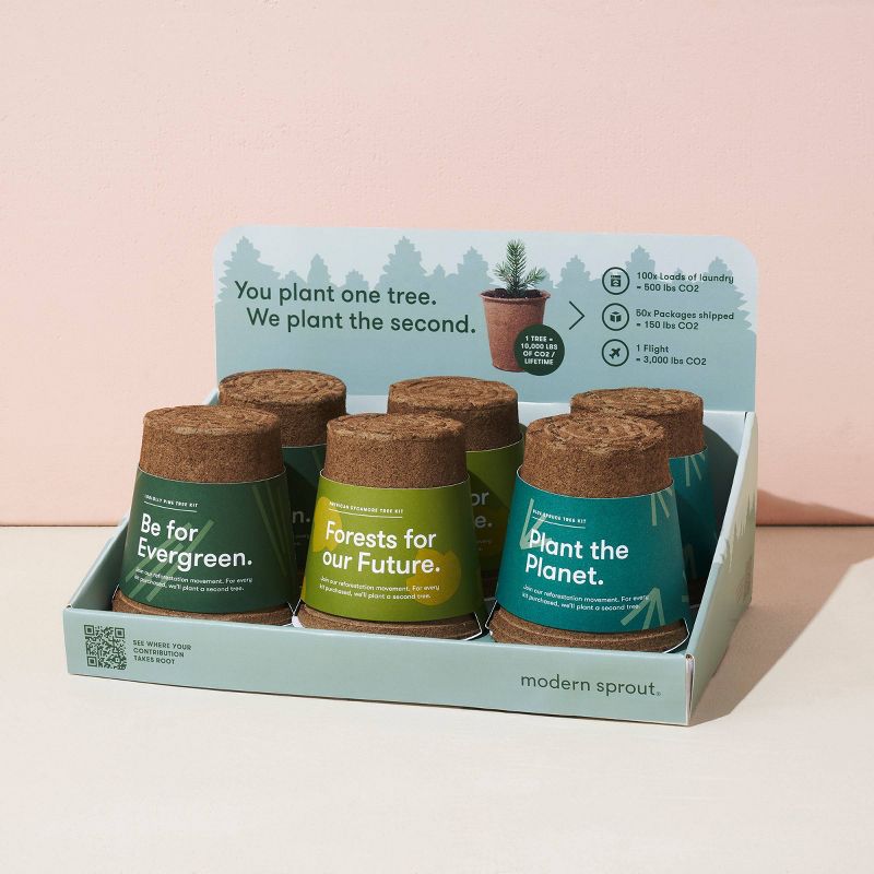 One for One Tree Kit - American Sycamore