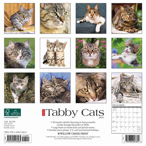 2021 Tabby Cats Wall