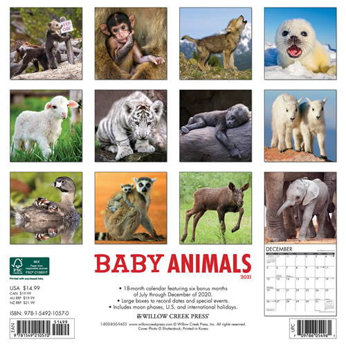 2021 Baby Animals Wall