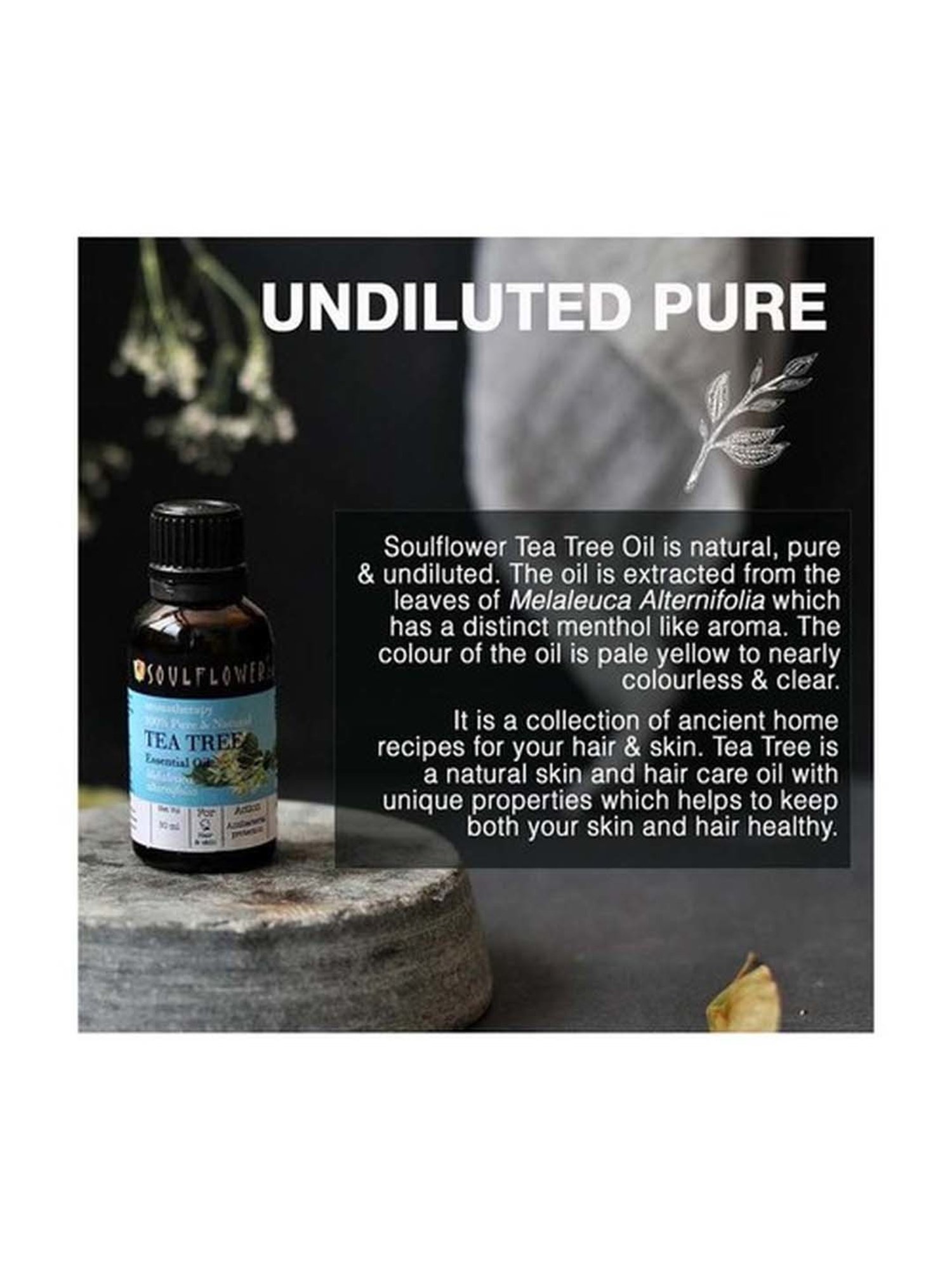 House of Beauty Pigmentation Oil - 30 ml