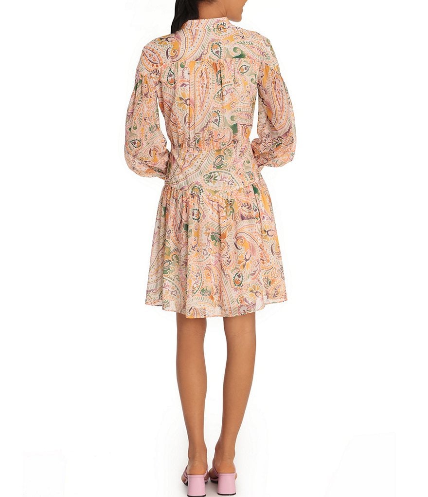 Donna Morgan Paisley Crepe Drop Waist Dress