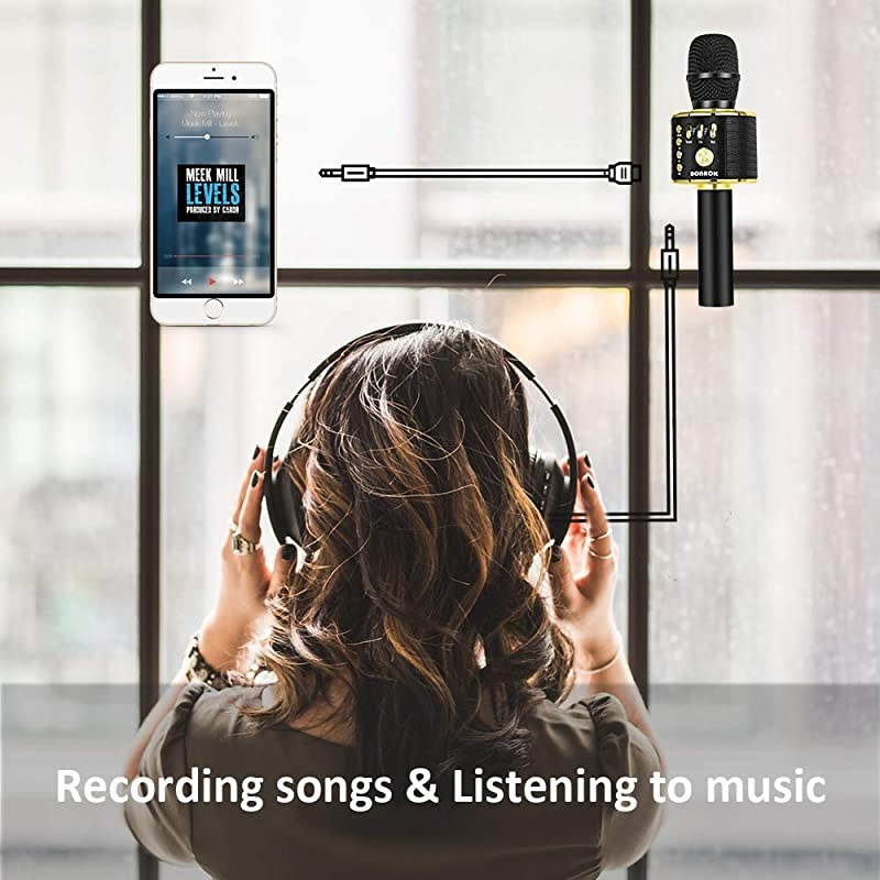 Karaoke Microphone Bluetooth Wireless, Portable Karaoke Machine Mic Speaker for Kids and Adults Home Party Birthday(Black Gold)