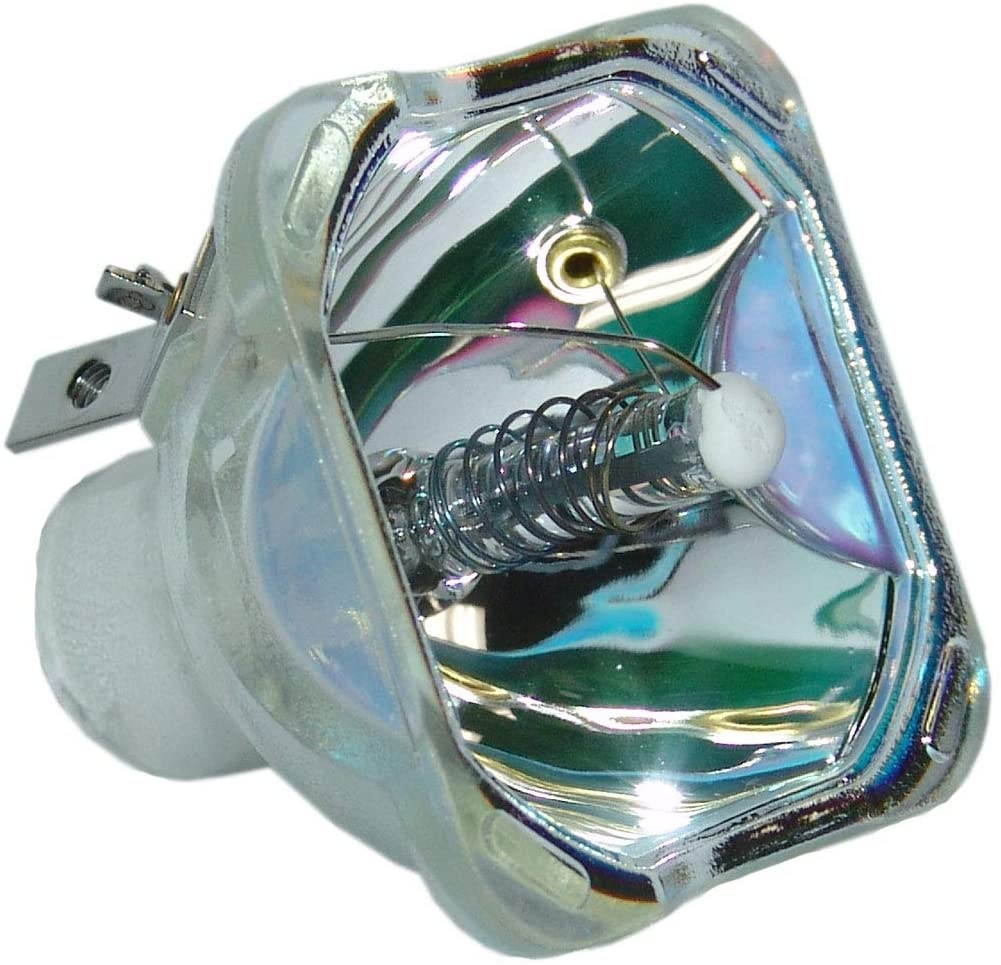 Lutema Economy Bulb for Sanyo 610-343-2069 Projector (Lamp Only)