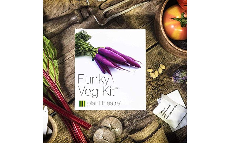Plant Theatre Funky Veg Kit Gift Box - Plant Seed Kit - 5 Extraordinary Vegetables to Grow - Everything You Need to Start Growing in one Box!