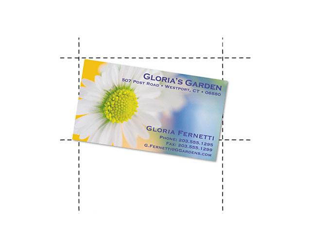 Geographics 39051(GEO) Business Cards