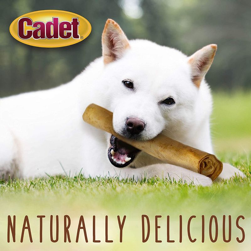 Cadet 10 Inch Rawhide Peanut Butter Basted Retriever Rolls (1 lb x 4 Pack)