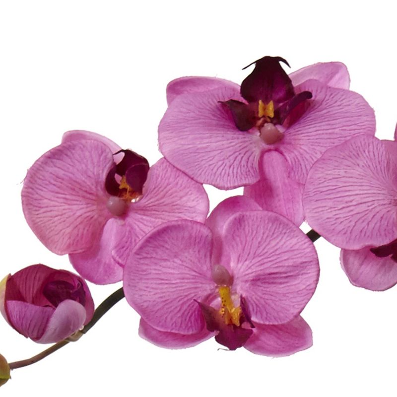 27" x 14" Artificial Rubber Plant in Boho Basket Cream - LCG Florals