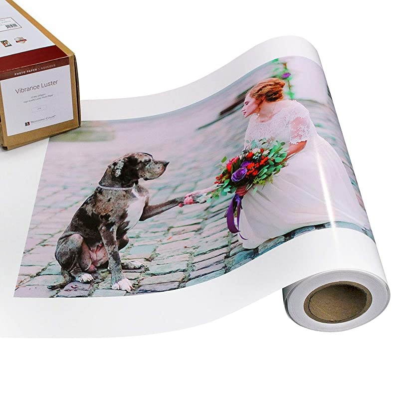 Luster Photo Printer Paper 10 mil 255 gsm Luster Finish Premium Photo Paper Roll on 3in Core 50 inches x 100 feet Works with Most Inkjet Printers Including Professional Makes and Models
