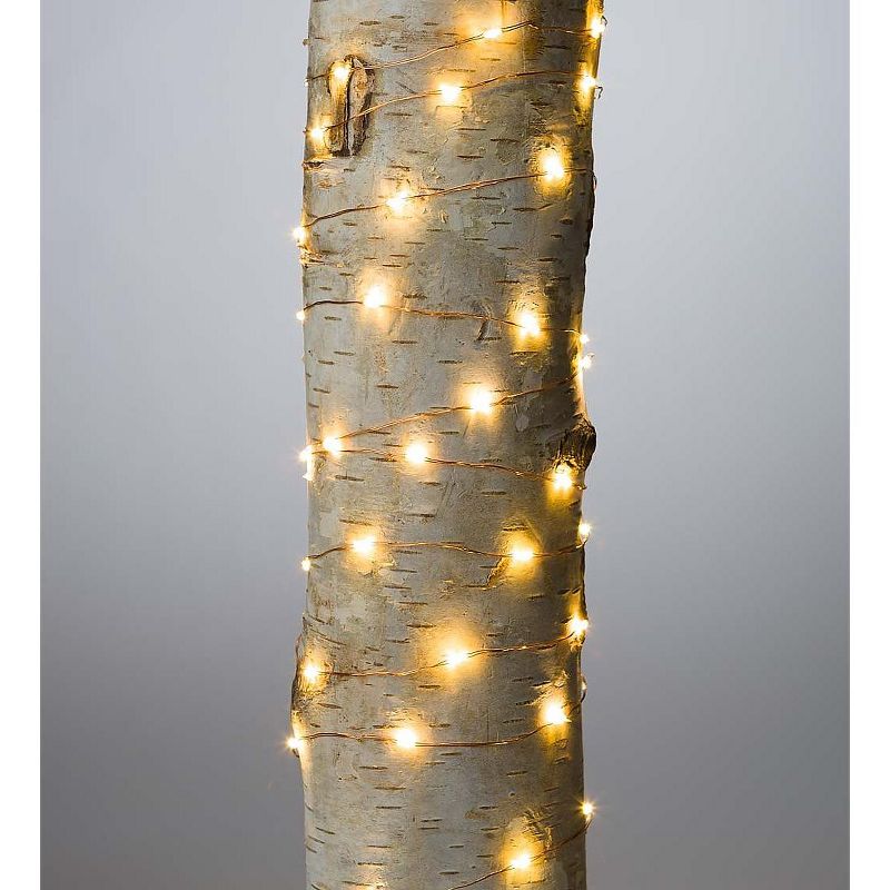 Plow & Hearth - Firefly String Lights, 60 Warm White LEDs on Copper Wire, 9'10"L