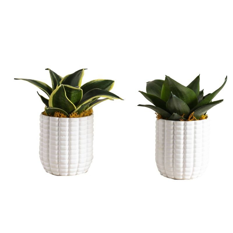 LiveTrends Maize - 2pk