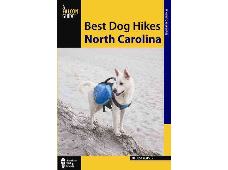 Life with Forty Dogs - by  Joseph Robertia (Paperback)