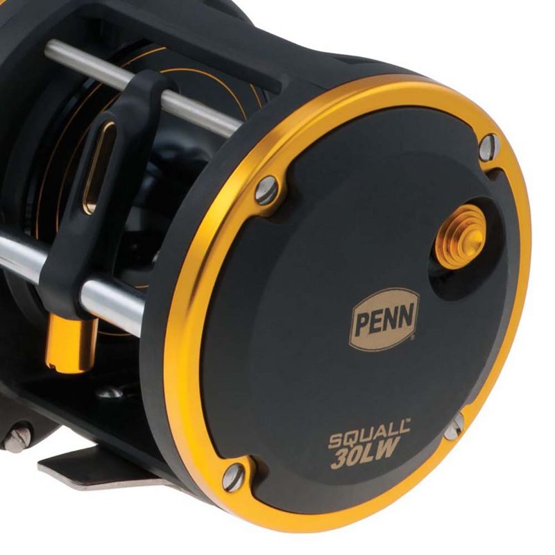 Penn SQL30LW Squall Levelwind Lightweight Saltwater Fish Trolling Fishing Reel, Black & Gold