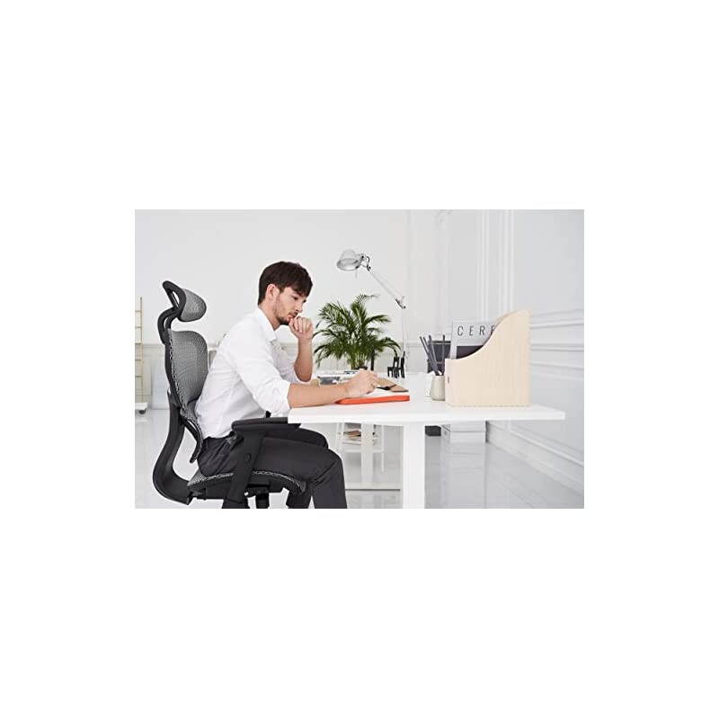 Ergo3D Ergonomic Office Chair - Rolling Desk Chair with 3D Adjustable Armrest, 3D Lumbar Support and Blade Wheels - Mesh Computer Chair, Gaming Chairs, Executive Swivel Chair (Black)