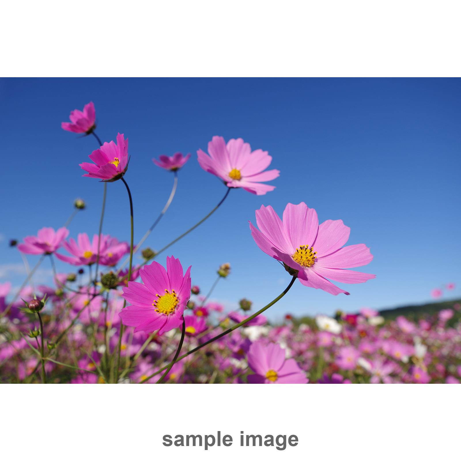 Pentax HD DA* 11-18mm f/2.8 ED DC AW Zoom Lens