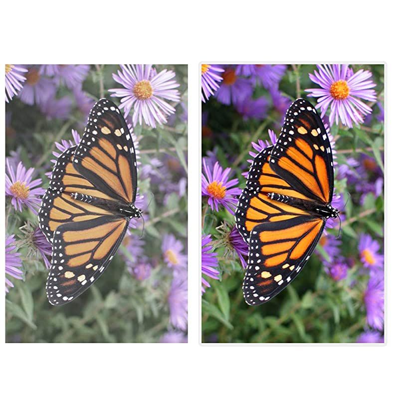 Thermal Laminating Pouches, 8.9 x 11.4-Inches/Letter Size/5 mil, 200 Pack