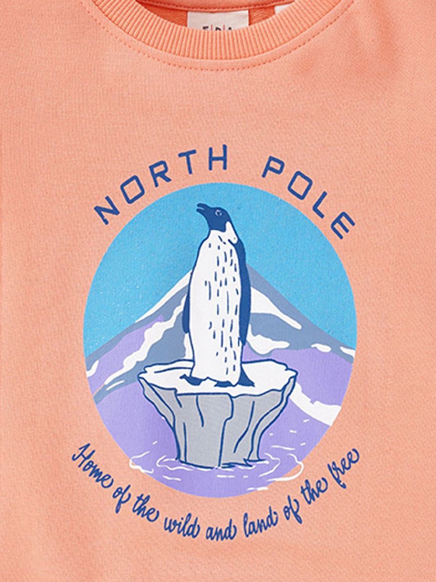 Ed-a-Mamma Kids Orange Cotton Printed Full Sleeves Sweatshirt