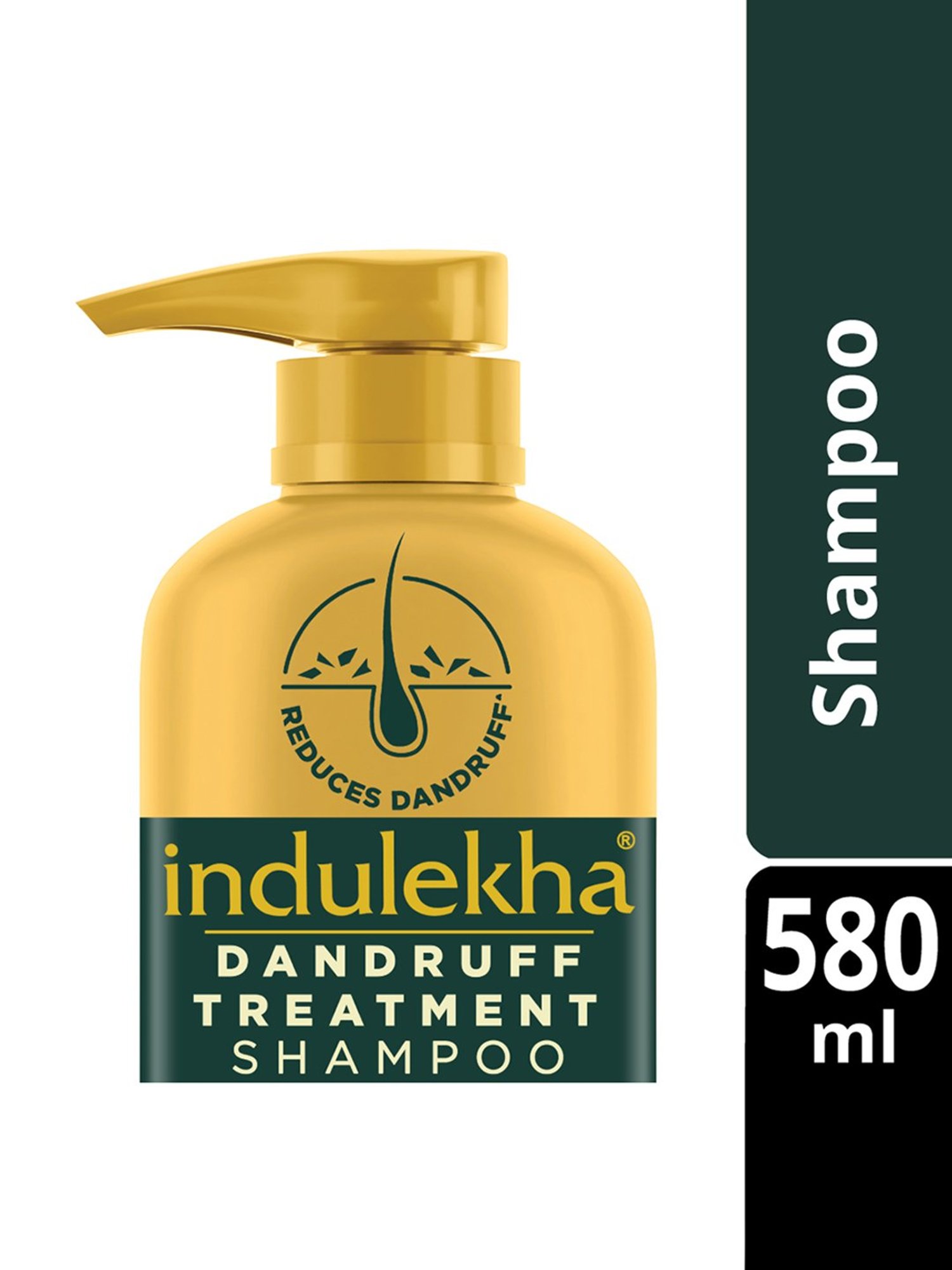 Indulekha Dandruff Treatment Shampoo - 580 ml