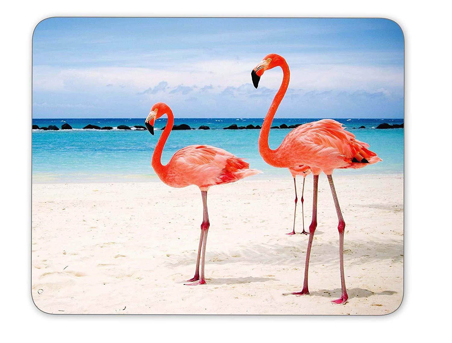 Flamingos Walking on The Beach Mouse pad-Non-Slip Rubber Mousepad-Applies to Games,Home, School,Office Mouse pad