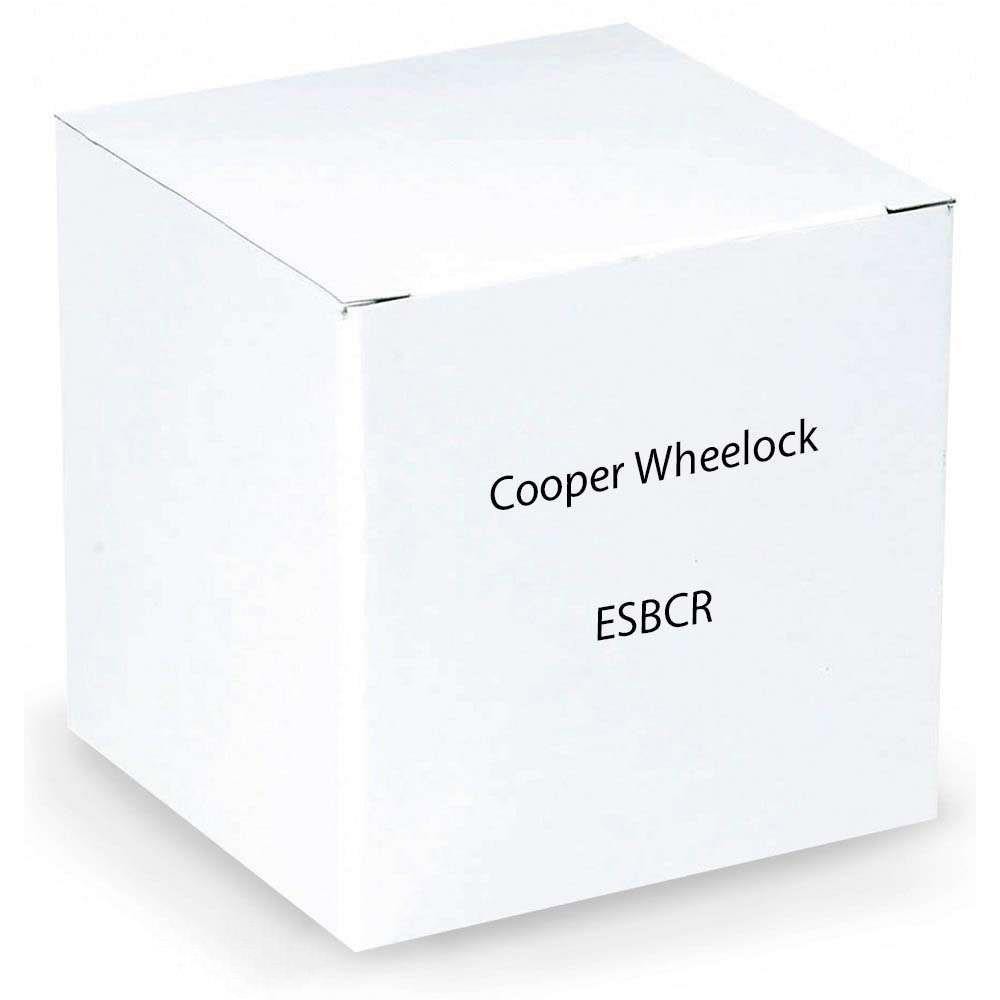 Cooper Wheelock ESBCR