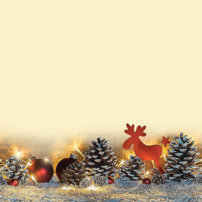 80pk "Tis The Season" Letterhead