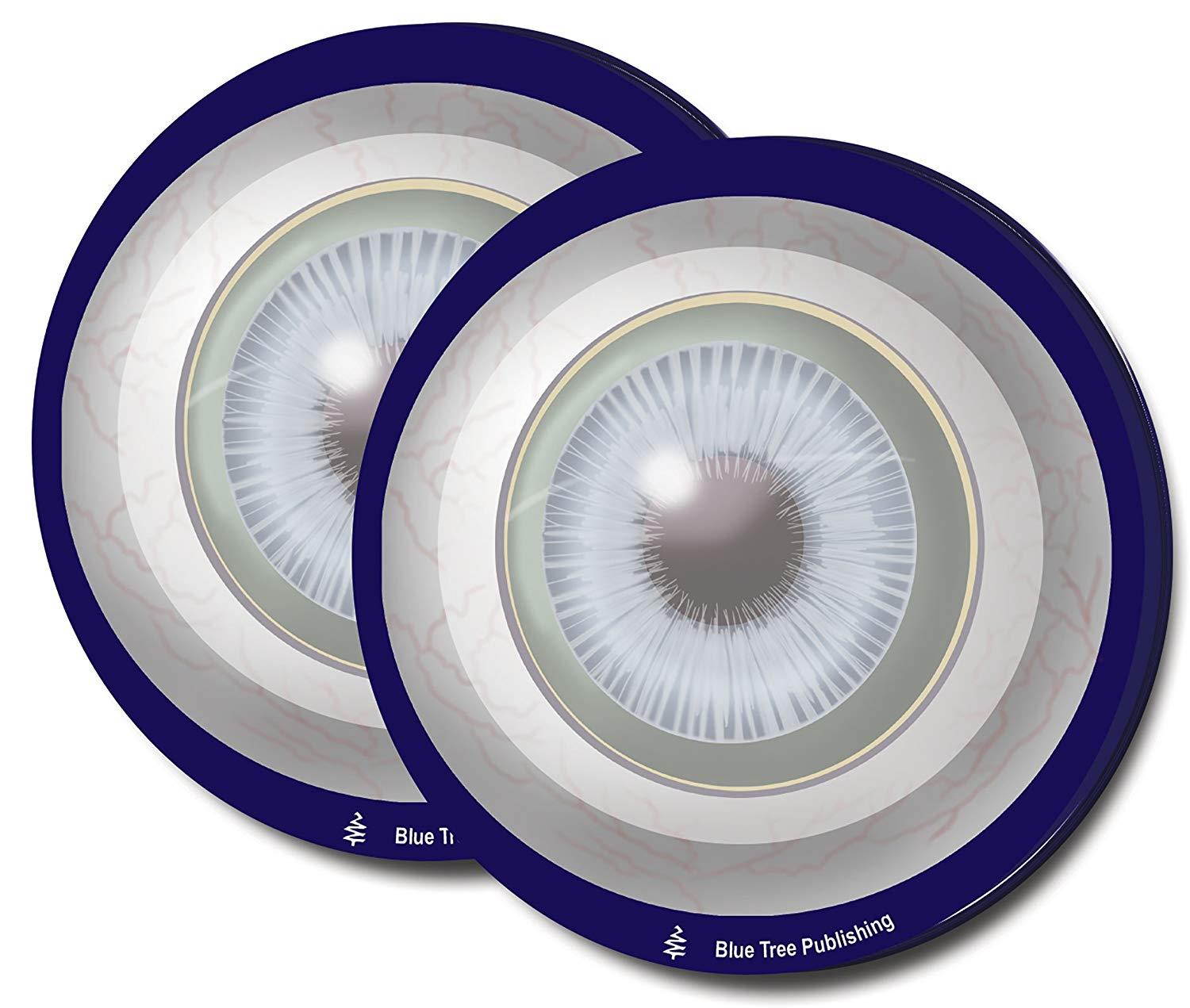 Eye Sticky Notes, 2 Pack-100 Sheets Per Pack