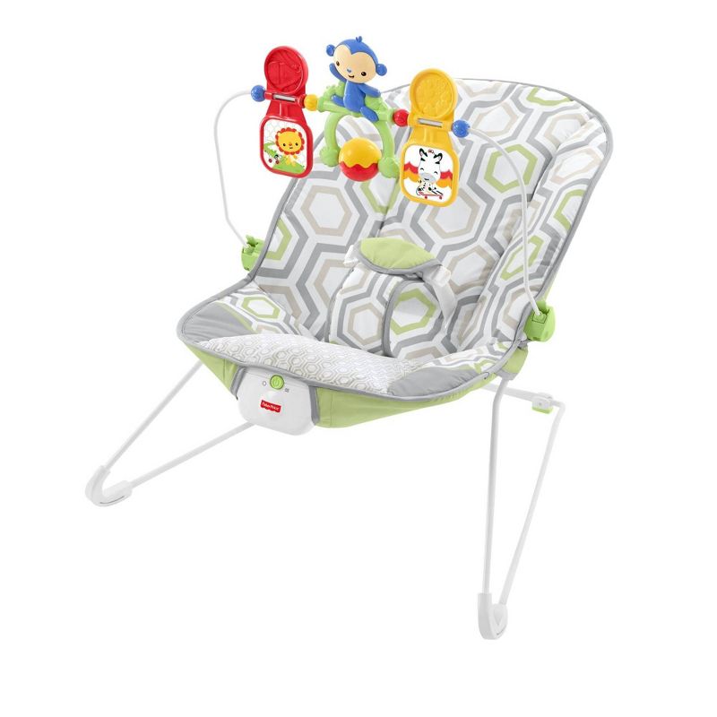 ​Fisher-Price Baby Bouncer