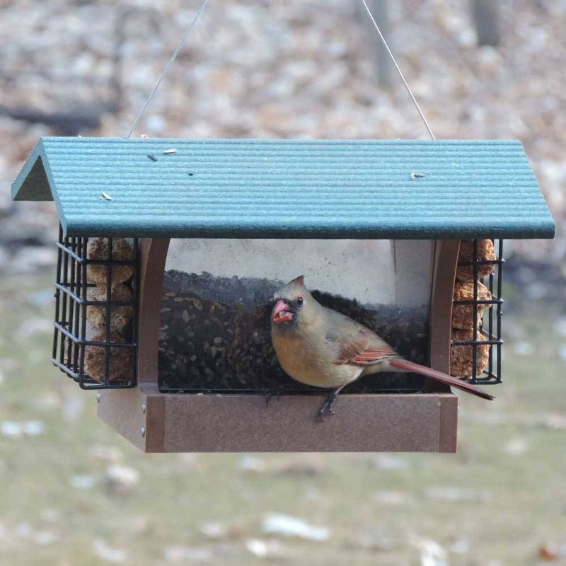 Birds Choice Cage Feeder with Base and Roof Top Bird Feeder