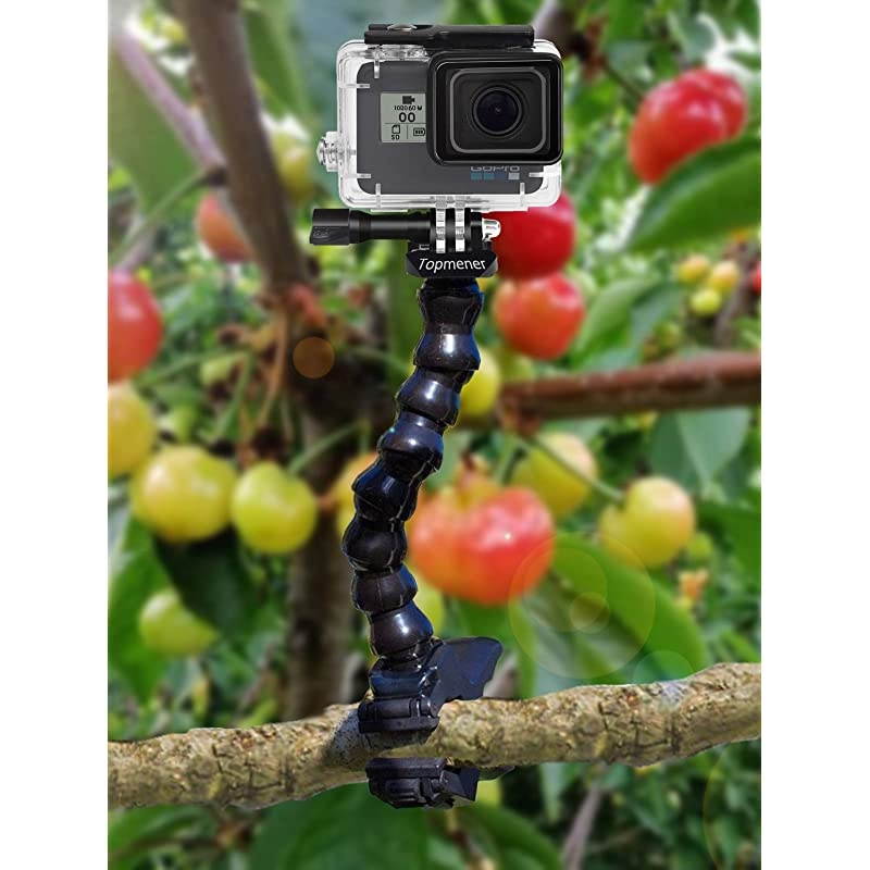 Jaws Flex Clamp Mount with Adjustable Gooseneck Compatible with Gopro Hero 8 Hero 7 Hero 6 5 4 2018 Session Fusion 3+ 3 2 1 DJI Osmo Xiaomi Yi Camera Mounts and Supports