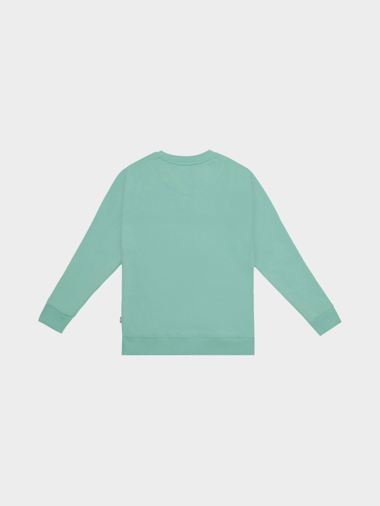 Bodycare Girls Green Printed Full Sleeves Sweatshirt