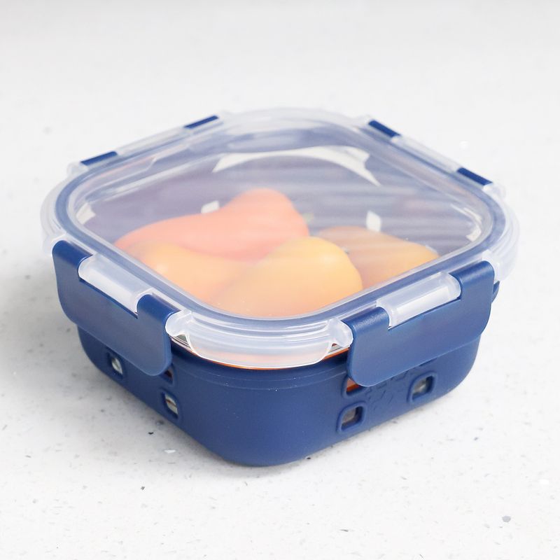 Michael Graves Design Square 17 Ounce High Borosilicate Glass Food Storage Container with Plastic Lid, Indigo