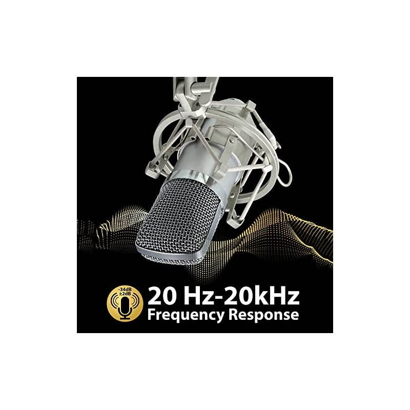 Cardioid Condenser Microphone XLR Noise Deduction 360 Degree UniDirectional Voice Recording with Mount amp Windscreen for PC Gaming Broadcasting Podcasting Studio YouTube amp Tiktok Video