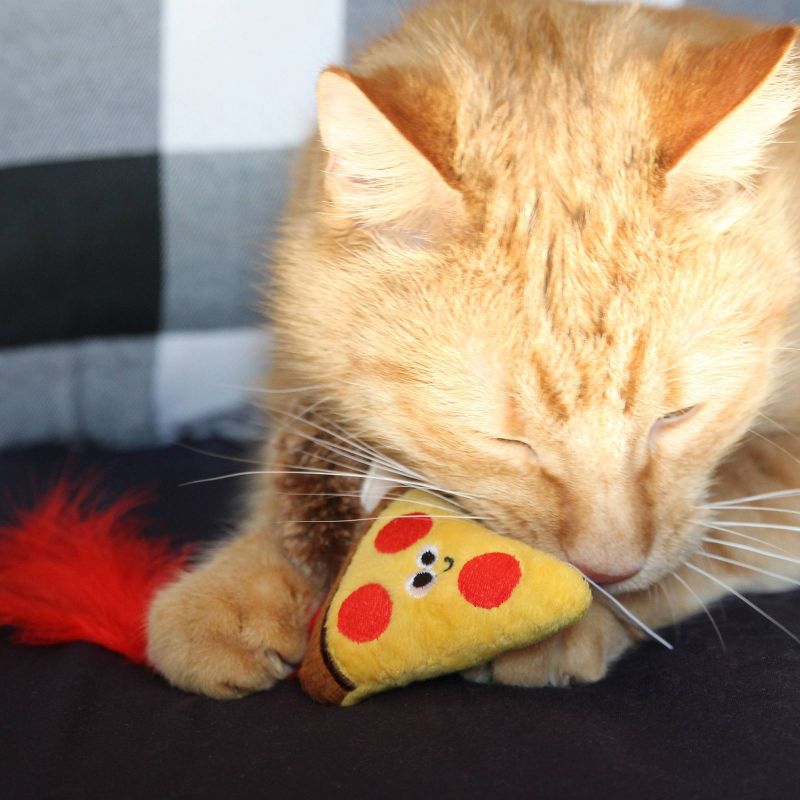 Quirky Kitty Pizza Hedge Hog Cat Toy - Brown - 2pk