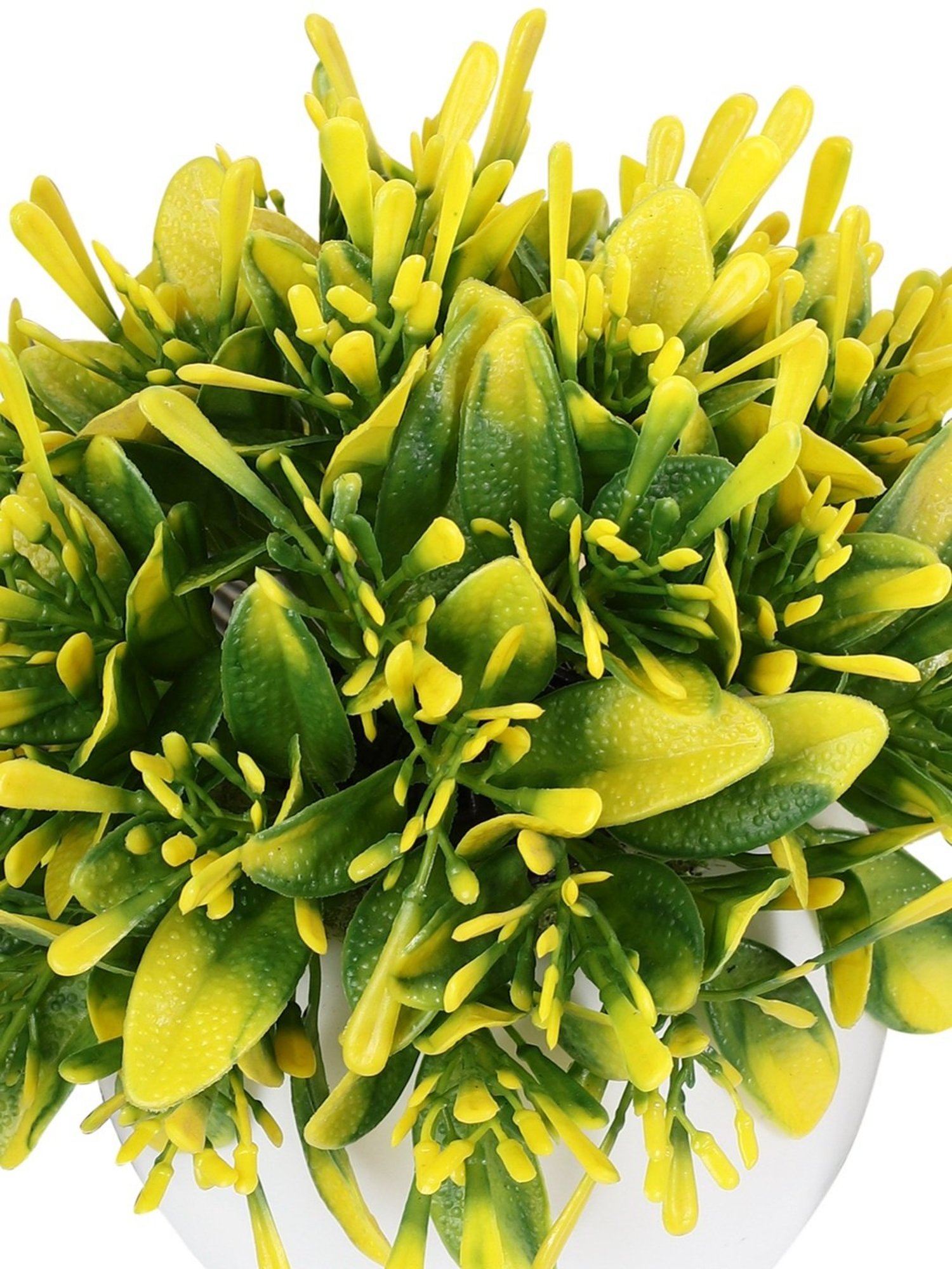 Foliyaj Multicolor Plastic Artificial Plant with Oar Shaped Leaves & Pot