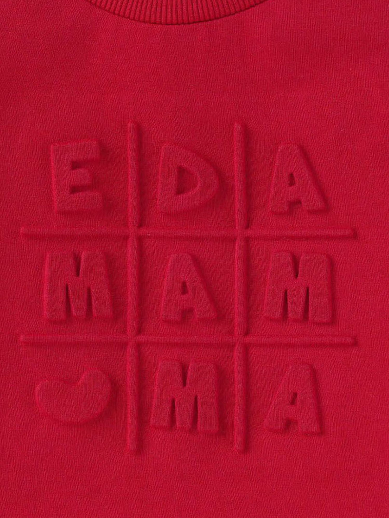Ed-a-Mamma Kids Red Printed  Sweatshirt