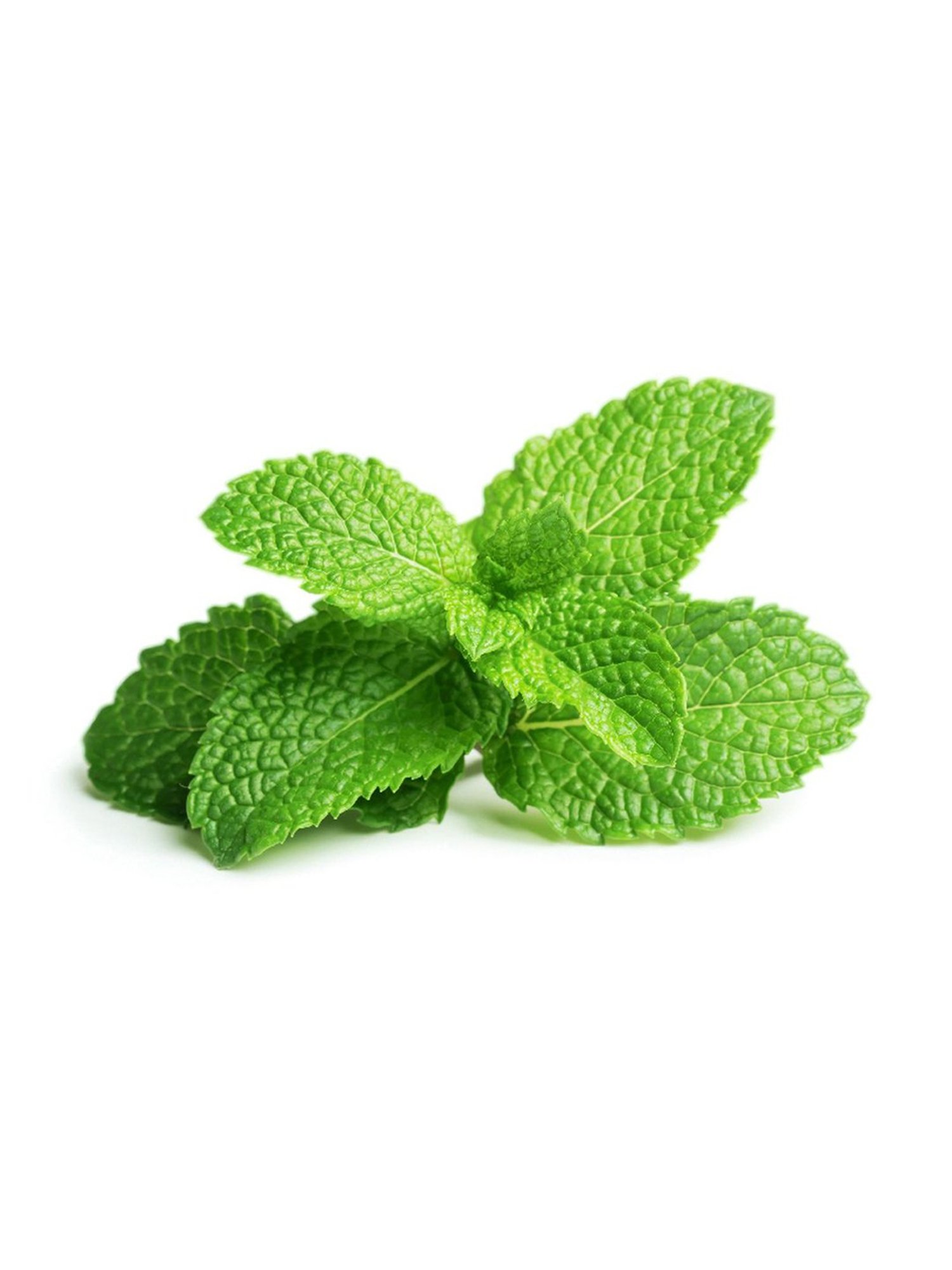 CLEAN AND DRY Foam Wash - 85 gm