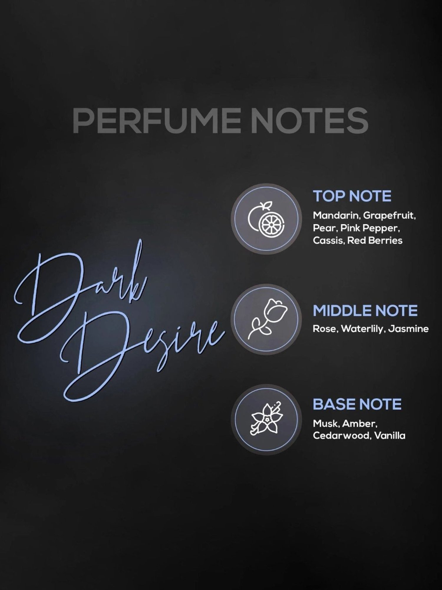 RENEE Bloom, Oud Aspire & Dark Desire Eau de Parfum Combo (50 ml x 3)