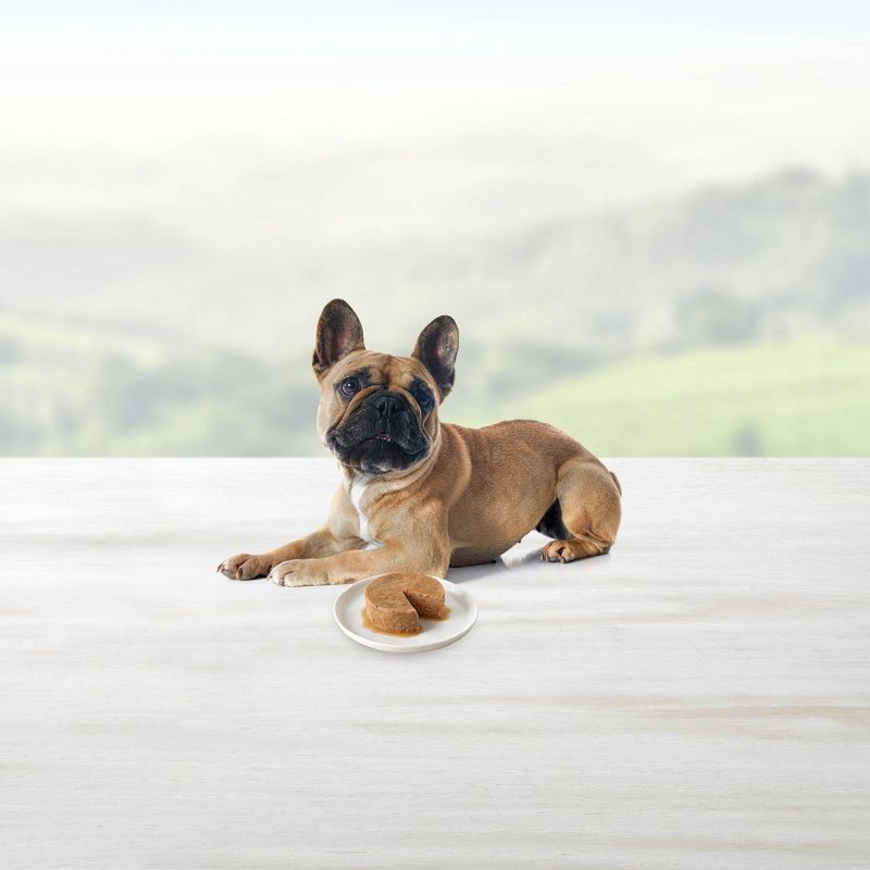 Blue Buffalo True Solutions Best Life Wet Dog Food - 12.5oz