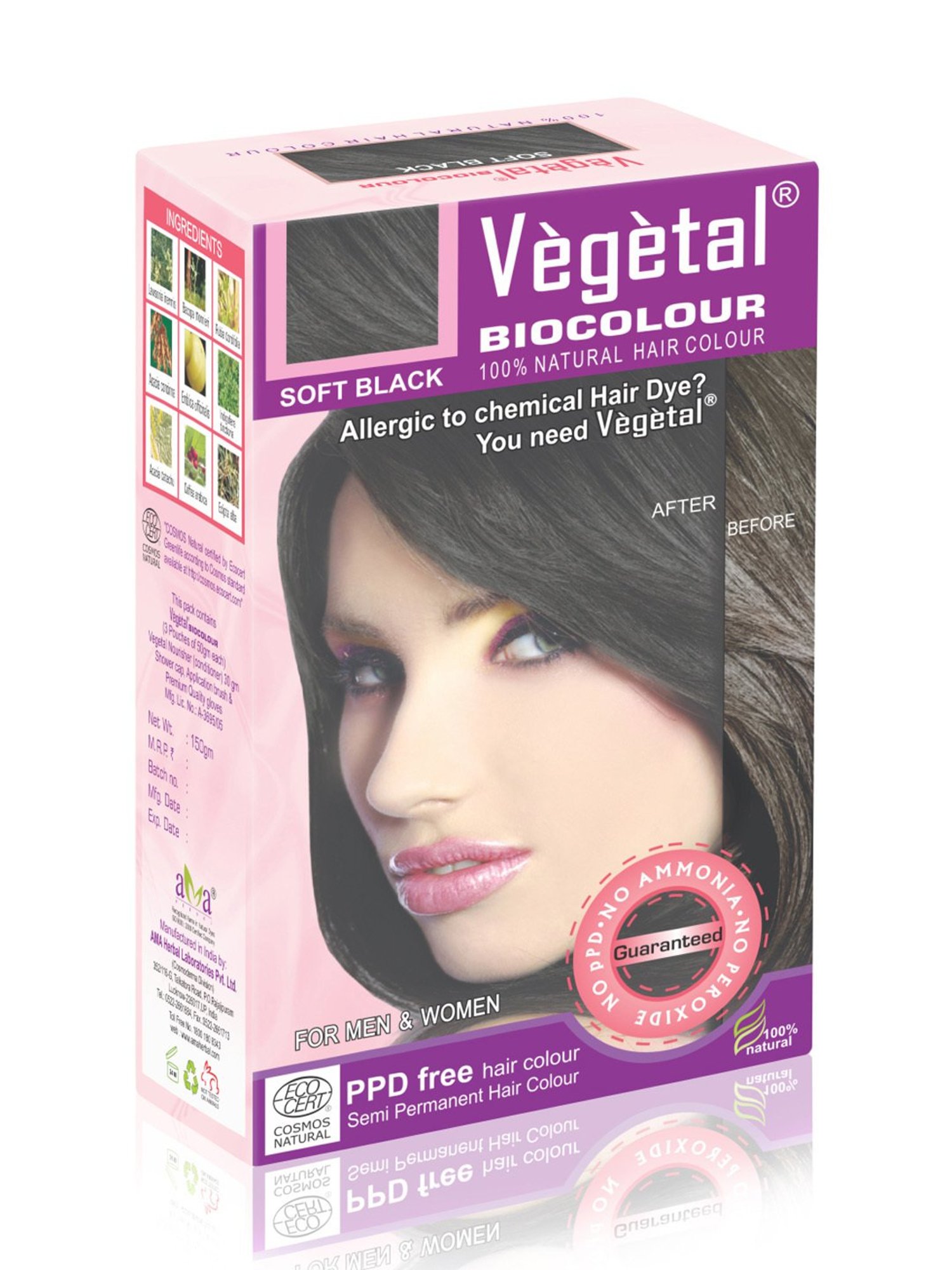Vegetal Hair Bio Color Soft Black - 150 gm