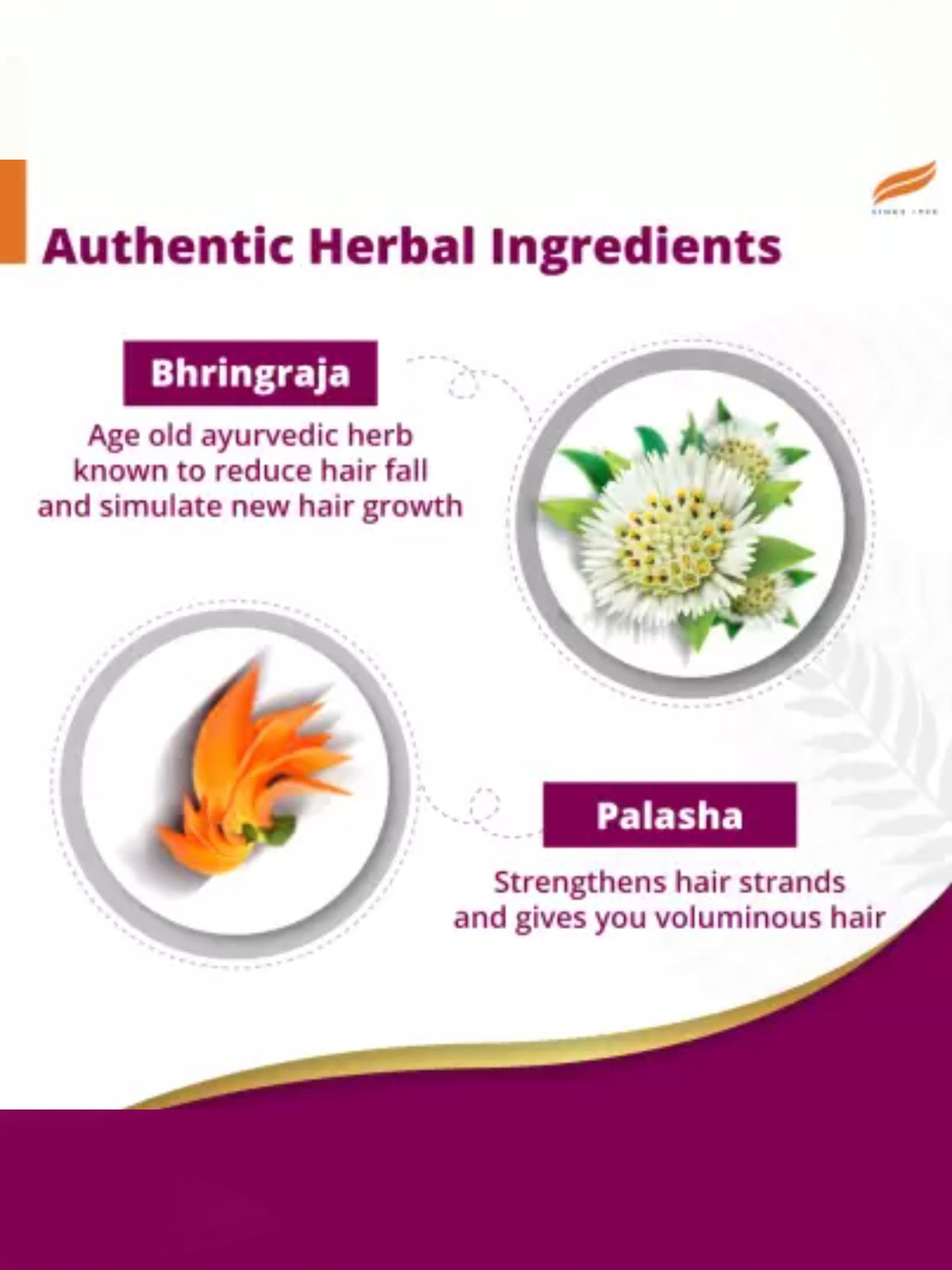 Himalaya Anti-Hair Fall Bhringaraja Shampoo - 1000 ml