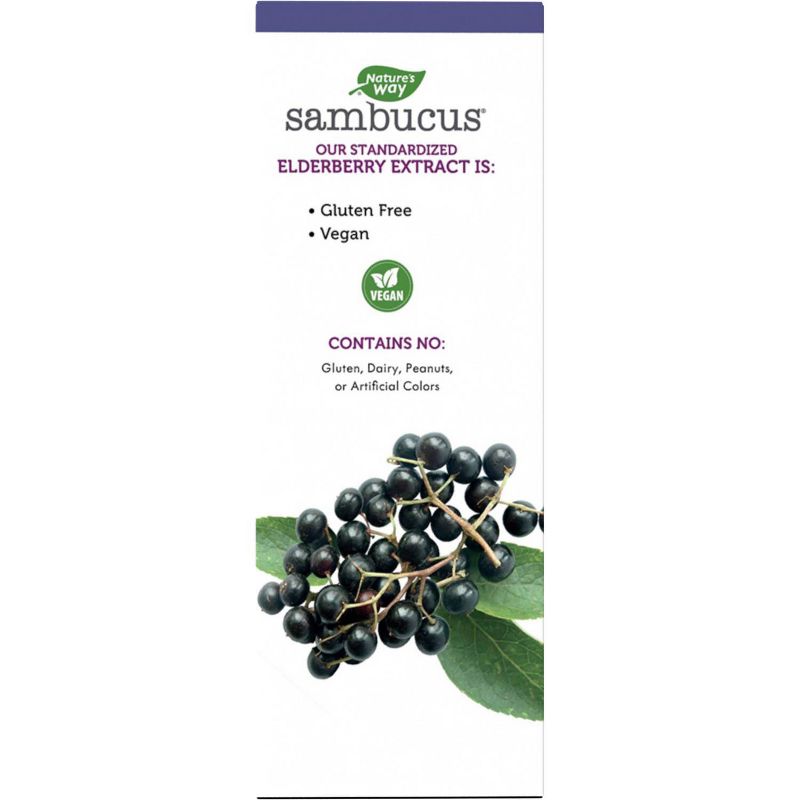 Nature's Way Sambucus Original Elderberry Syrup - 8 fl oz