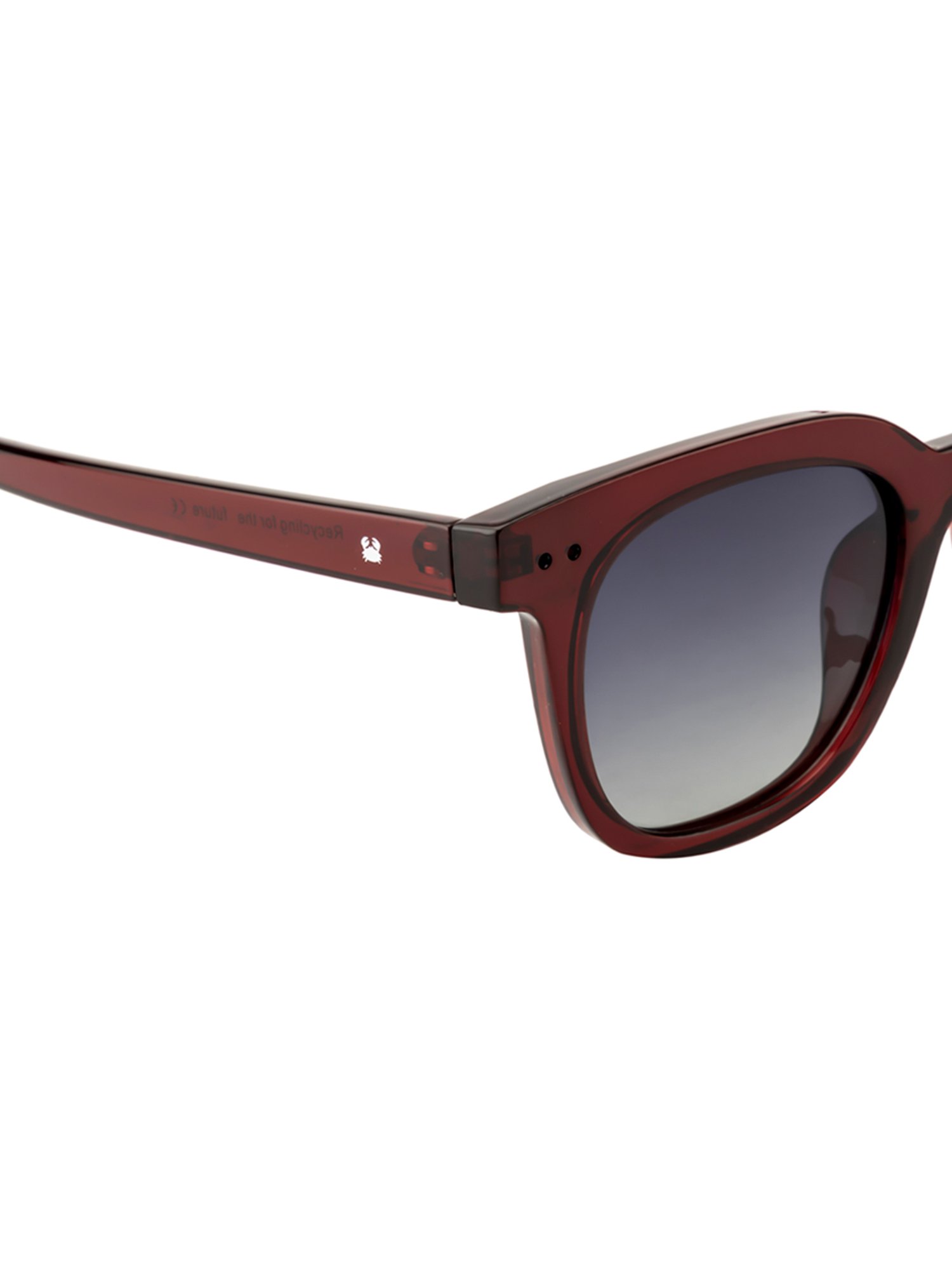 Oceanides Purple Wayfarer Unisex Sunglasses