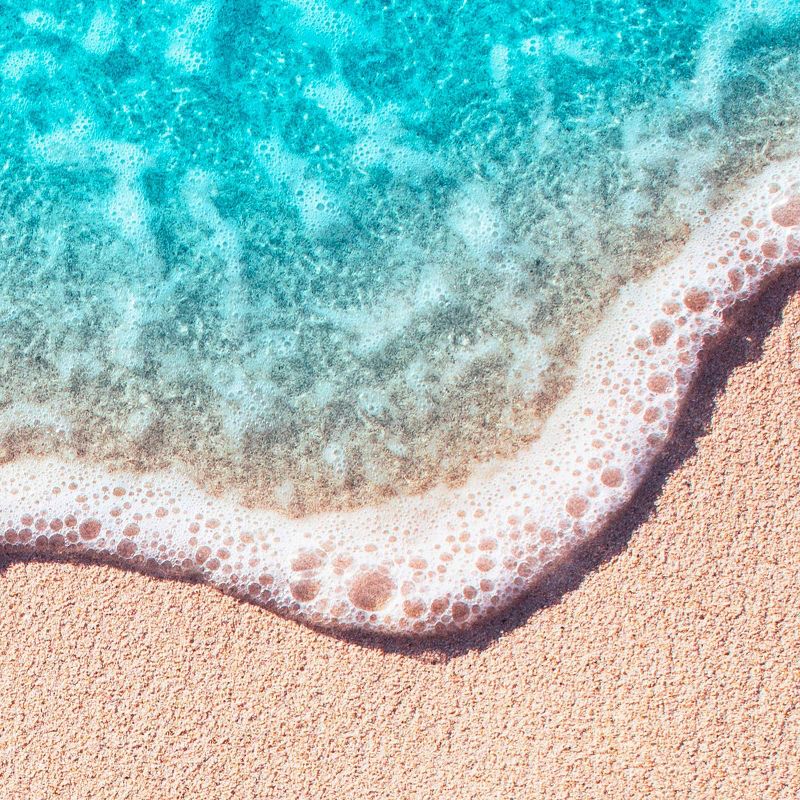 Suave Essentials Moisturizing Shampoo for Dry Hair Ocean Breeze - 30 fl oz