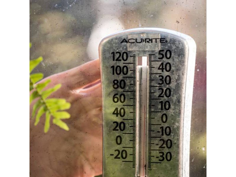 T-Rex 1'x60' Strong and Clear Mounting Tape Red