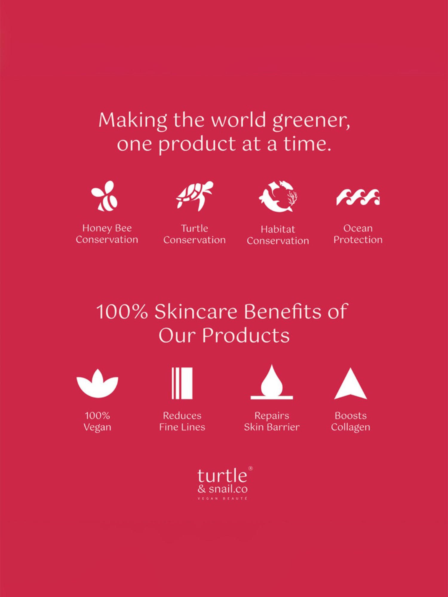 Turtle & Snail.Co Cranberry Lip Tint & Balm with Vitamin C & SPF 30 - 20 gm