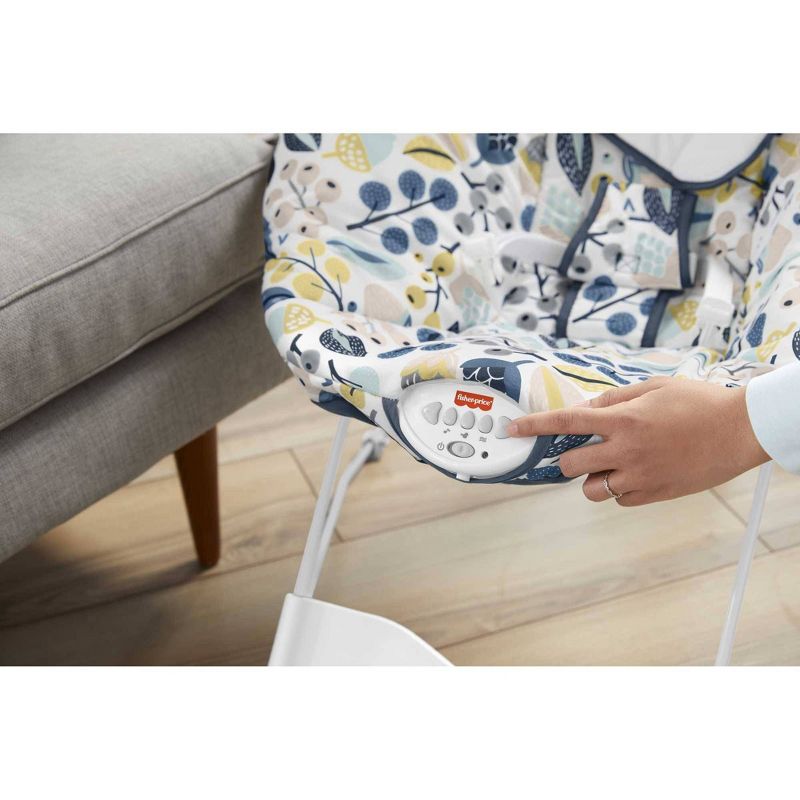 ​Fisher-Price Baby Bouncer