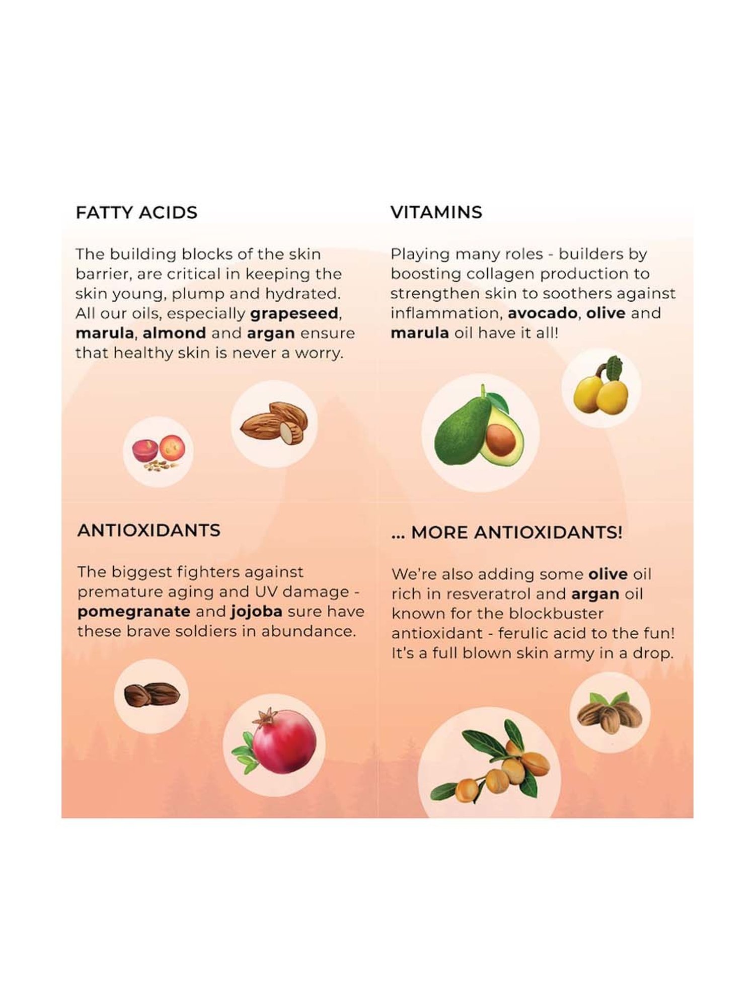 Disguise Cosmetics Rainbow Glow Oil - 28 ml